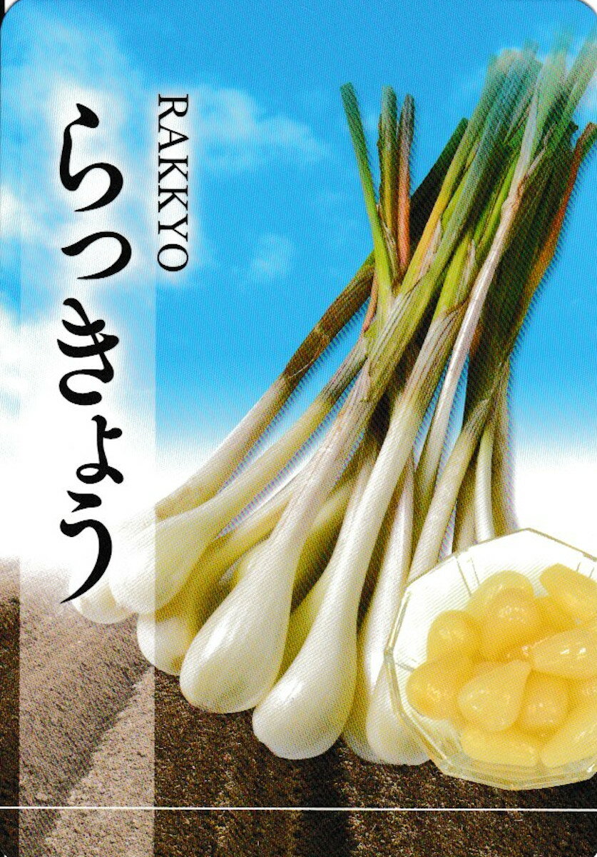 健康野菜 らっきょう 種約200g入り（充填時）国産