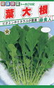 【種子】葉大根 緑美人トーホクのたね