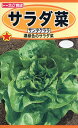 【種子】サラダ菜 サンタクララトーホクのたね