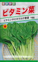 【種子】ビタミン菜トーホクのたね