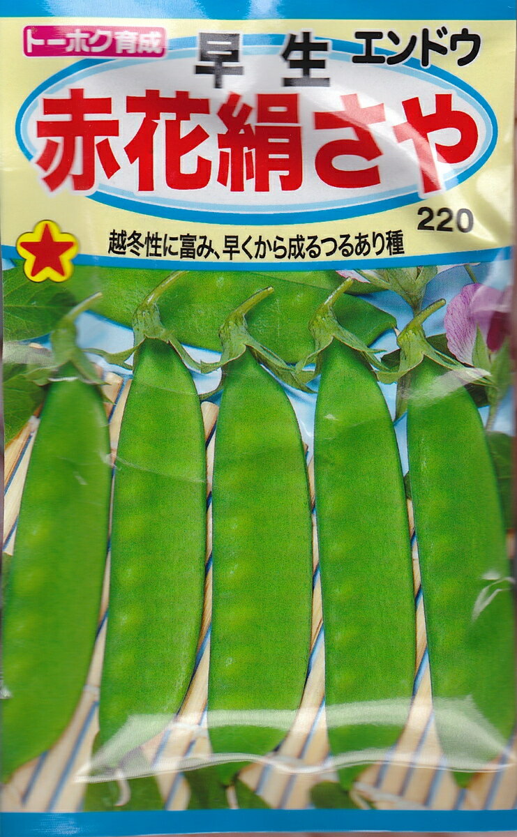 【種子】エンドウ早生 赤花絹さやトーホクのたね