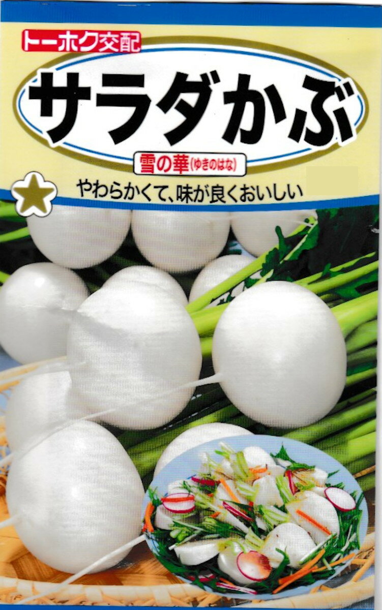 【種子】サラダかぶ 雪の華トーホクのたねのサムネイル