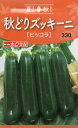 【種子】秋どりズッキーニ ピッコラトーホクのたね