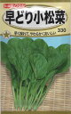 【種子】コマツナ早どり小松菜トーホクのたね
