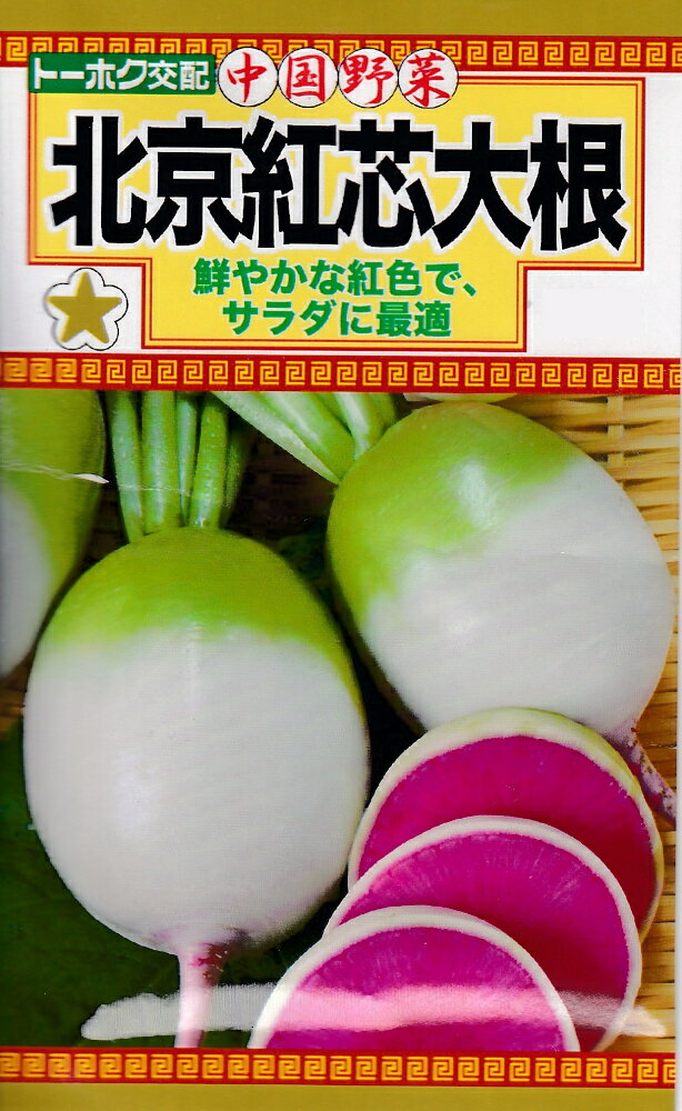 中国野菜 北京紅芯大根【種子】トーホクのたねのサムネイル