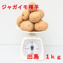 ジャガイモ 種芋出島 デジマサイズ混合 1kg(充填時)