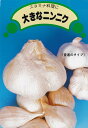 ジャンボにんにく 種約500g入(充填時)国産