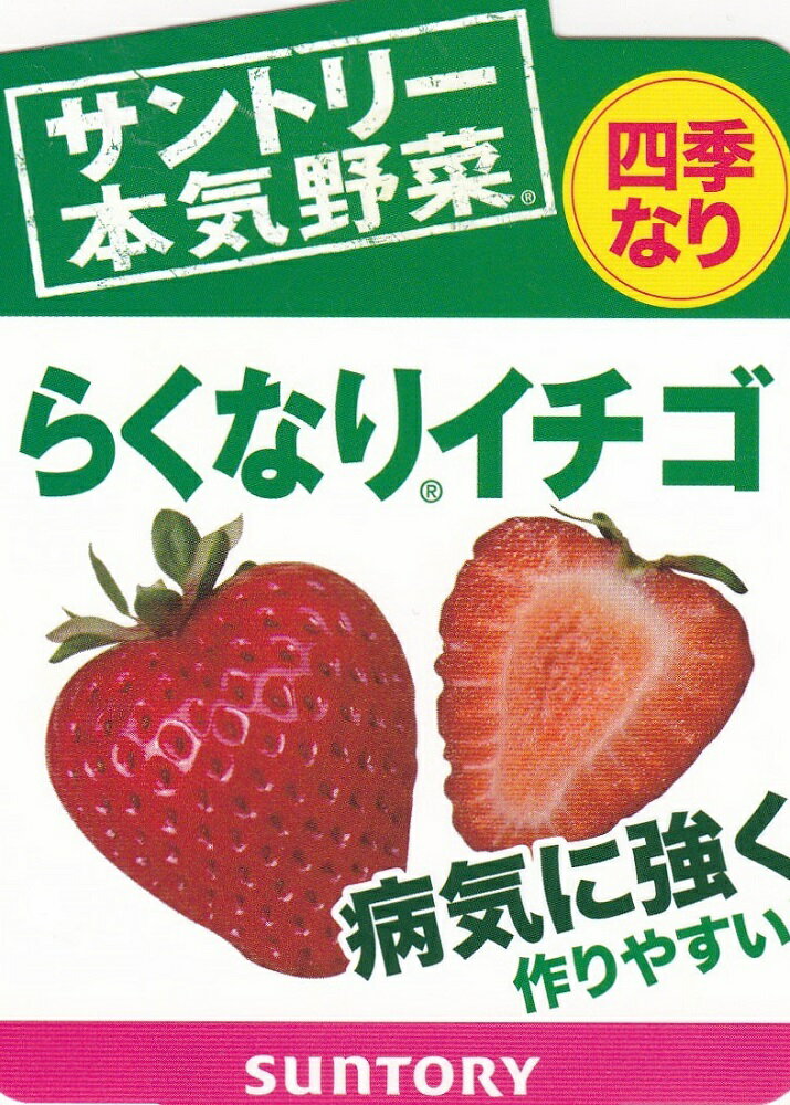 【サントリー】イチゴ苗らくなりイチゴ四季なり 3号ポット1苗