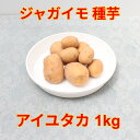 ジャガイモ 種芋アイユタカ 愛豊サイズ混合 1kg(充填時)