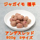 アンデスレッド sサイズ 800gじゃがいも 種芋(充填時)