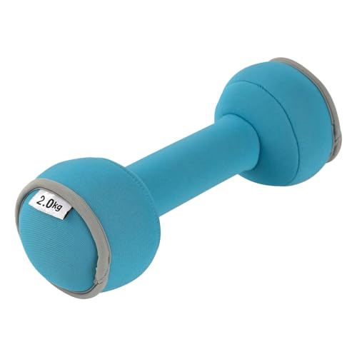 山善 ダンベル 砂鉄 2.0kg 柔らか ソフト ケガしにくい 軽量 コンパクト 筋トレ ダイエット シェイプア..