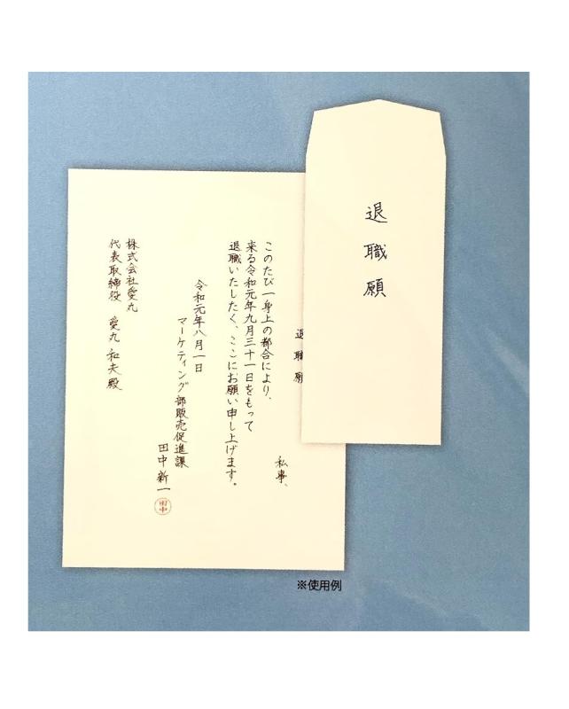決断のここ一番に 迷わず丁寧な退職願専用 便箋 封筒セット【便箋4枚 封筒2枚 下敷1枚 付録/退職願いの書き方付】【Clip wan】