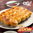 名古屋 ギョーザ工房 情熱ギョーザ 冷凍餃子 特製たれ・ハバネロラー油付き 20〜200個入り gyouza