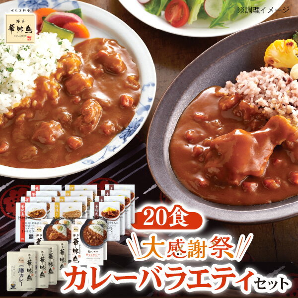 大感謝祭カレーバラエティセット（20食） 送料無料 博多華味鳥 【公式通販】のサムネイル