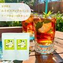 【期間限定】ルイボスアップルミント Rooibos APPLE MINT リーフ50g×2袋セット 送料無料 お茶 フレーバーティー グリーンルイボス おすすめ リーフタイプ 茶葉 ご自宅用 来客用 女性に人気 プチギフト
