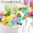生花 ペット お供え花 お悔やみ花 御供 犬 猫 うさぎ 贈り物 レインボーカーネーション お供え 愛犬 命日 仏花 四十九日 初盆 お盆 法事 供養 法要 ア...