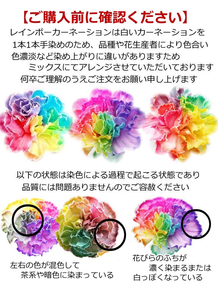 楽天市場 母の日 プレゼント ギフト 花 生花 レインボーカーネーション バルーン フラワー ギフト お祝い 発表会 周年祝い 結婚祝 退 出産祝い お祝い 卒業祝い 入学祝い 卒園 卓上 送料無料 バルーン電報 花ギフト 花模様 みんなのレビュー 口コミ