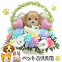 生花 ペット お供え花 お悔やみ花 御供 犬 猫 うさぎ レインボーカーネーション バルーン フラワー ギフト お悔やみ花 贈り物 お供え 愛犬 命日 仏花 四...