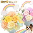 ソープフラワー ペット お供え花 御供 お悔やみ花 犬 猫 うさぎ 贈り物 お供え 愛犬 命日 仏花 四十九日 初盆 お盆 法事 供養 法要