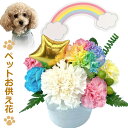 生花 ペット お供え花 お悔やみ花 御供 犬 猫 うさぎ 贈り物 レインボーカーネーション お供え 愛犬 命日 仏花 四十九日 初盆 お盆 法事 供養 法要 アレンジメント 送料無料