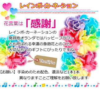 送料無料レインボーカーネーションのポップカラーアレンジメントwithメッセージバルーン/生花アレンジR04/B500・55(1)