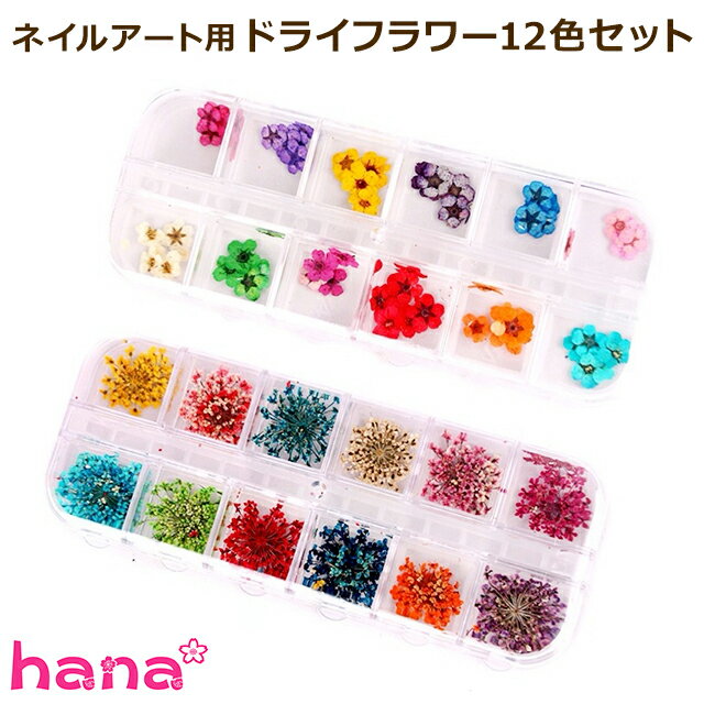 楽天hananailネイルアート用 本物のドライフラワー12色セット★番号付き収納ケース付き レジン レース 春 夏 秋 冬 押し花 ハンドメイド ネイルパーツ 花素材 埋め込み デコレーション ナチュラル マニュキュア ポリッシュ フラワーネイル 【メール便可】