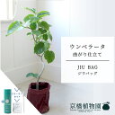 【スターターセット付】【JIU BAG（