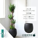 【スターターセット付】【バルーン鉢カバー付き/アンティークブラウン】ユッカ・エレファンティペス10号【受け皿付】【ラージサイズ】 【サスティー/SUSTEE/リーフクリン/IBのチカラ】