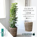 商品画像3