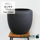 【鉢カバー】カンサラ:ブラック(7号〜8号鉢対応)【黒】【FRP製】【グリーンポット】