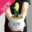 【マルモラウンドSサイズ】山吹(ヤマブキ)【サボテン】【受け皿付き】【植物 インテリア おしゃれ 人気 引越し祝い 開店祝い 新築祝い お祝い 楽天 通販 観葉 ギフト プレゼント】