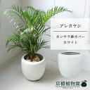 商品画像3