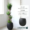 【バルーン鉢カバー付き/アンティークブラウン】ユッカ・エレファンティペス10号【受け皿付】【青年の木】【ラージサイズ】