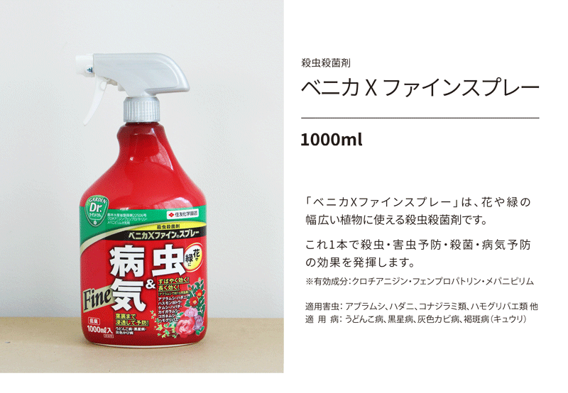 【SSクーポンあり】【殺虫殺菌剤】べニカXファインスプレー / 1000ml【住友化学園...