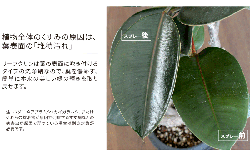 【SSクーポンあり】【葉面洗浄剤】リーフクリン/業務用480ml【住友化学園芸】【ス...