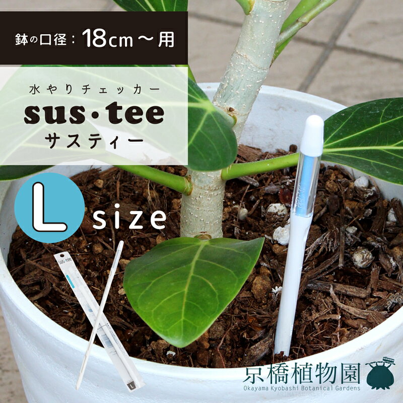 【7号鉢～大きいサイズ用】sustee（サスティー）/Lサイズ【水やりチェッカー】【水分計】