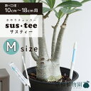 【15日はP5倍!】【マラソンクーポン有!】【3号鉢〜6号鉢用】sustee(サスティー)/Mサイズ【水やりチェッカー】【水分計】