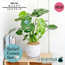 商品画像3