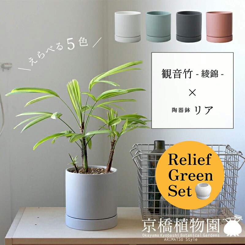 【SSクーポンあり】【リリーフグリーンセット】【えらべるカラー】観音竹-綾錦-×陶器鉢・リア【受け皿..