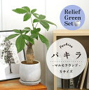 【20日はP5倍!】【リリーフグリーンセット】【マルモラウンドSサイズ】パキラ【受け皿付き】×サンスベリア【陶器鉢/受け皿付き】【2鉢セット】