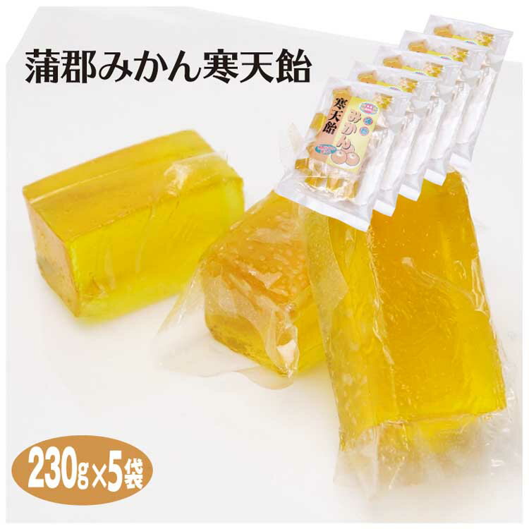 商品名蒲郡みかん寒天飴　230g　袋入 のし・包装対応× 名称菓子 原材料名水飴、砂糖、寒天、オブラート、みかんジュース（蒲郡産）、香料、着色料（アナトー）、レシチン（大豆由来） 内容量230g×5袋 製造からの賞味期限 温度帯常温 パッケージサイズ（mm）170*260 パッケージ 形態袋入、個包装 保存方法直射日光、高温多湿を避けください。 その他 販売者はなのき堂愛知県新城市川田字本宮道263番地の1