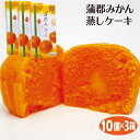 愛知 お土産 蒲郡みかんしっとり蒸しケーキ 10個×3箱 