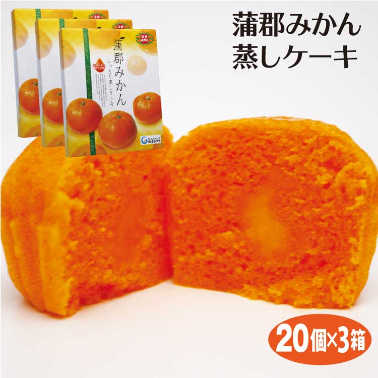 愛知 お土産 蒲郡みかんしっとり蒸しケーキ 20個×3箱 愛知みやげ おみやげ 蒲郡みかん 蒸しケーキ お土産 JA蒲郡市 はなのき堂