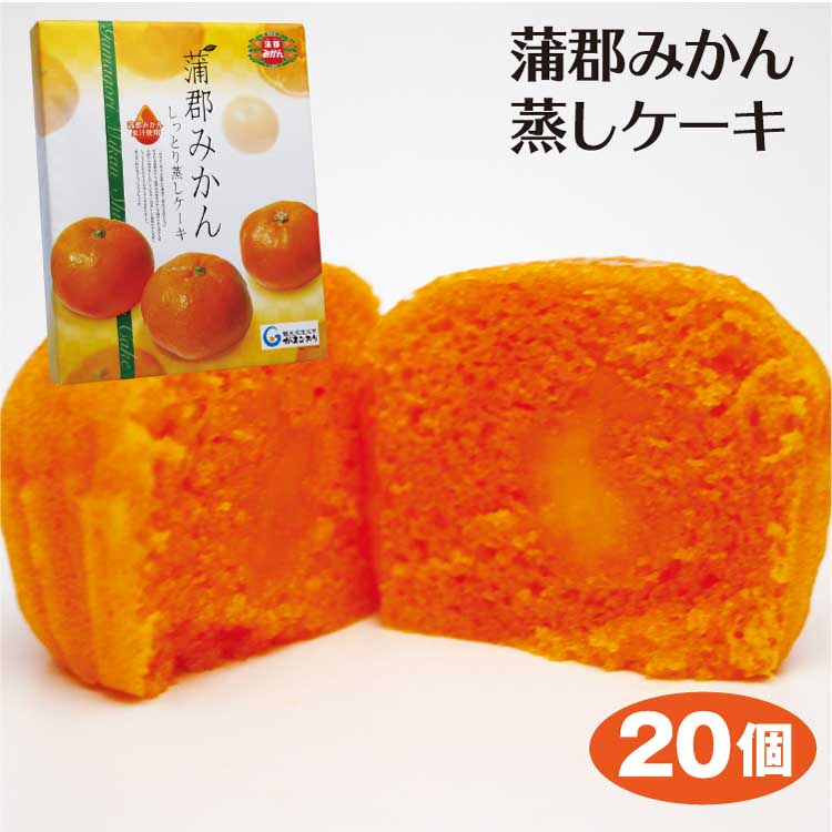 蒲郡みかん蒸しケーキ20個入 洋菓子 蒲郡みかん果汁 蒲郡み