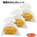 蒲郡みかんガレット8個入×3袋 洋菓子 厚焼きクッキー 愛知土産 はなのき堂 蒲郡みやげ スイーツ おやつ ティータイム