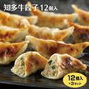 知多牛餃子12個入り 3個 知多牛 和牛 餃子 ぎょうざ 冷凍 おかず おつまみ ご飯のお供 愛知 知多半島 お土産 はなのき堂【37】