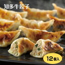 商品名知多牛餃子12個入り名称冷凍餃子（半製品）原材料名皮（小麦粉（国内製造）、塩）、牛肉、野菜（キャベツ、ニラ、ニンニク、生姜）、味噌、醤油、ごま油、本みりん、塩、酵母エキス、黒胡椒/酒精、乳化剤（一部に小麦・牛肉・大豆・ごまを含む）内容量192g（12個入り）賞味期限・消費期限（製造時から）240日温度帯冷凍のし・包装対応×パッケージサイズ150×300×30パッケージ形態袋、トレー保存方法-18℃以下で保存して下さい販売者株式会社はなのき堂