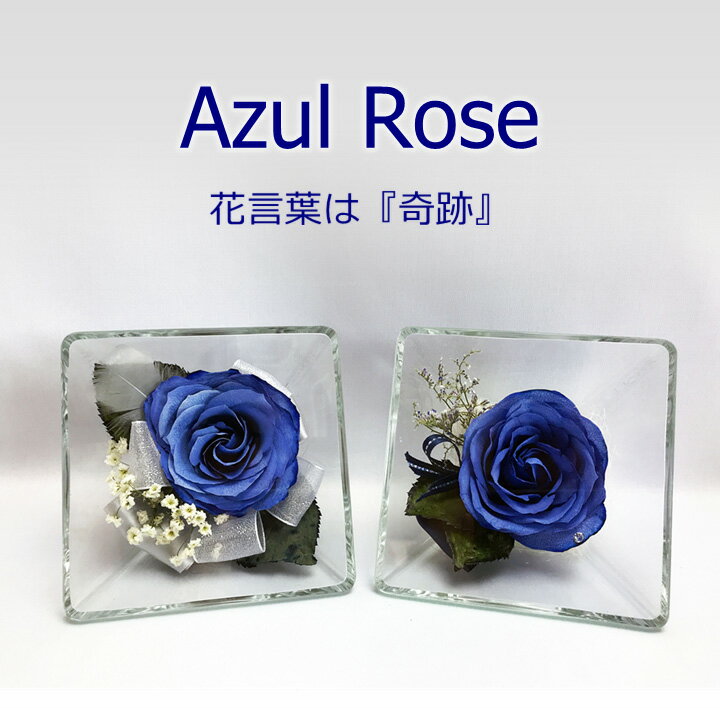 青い薔薇のギフト/花言葉は『奇跡』/ブルーローズ/青いバラ/ドライフラワー/Azul Rose/スクエアボトル