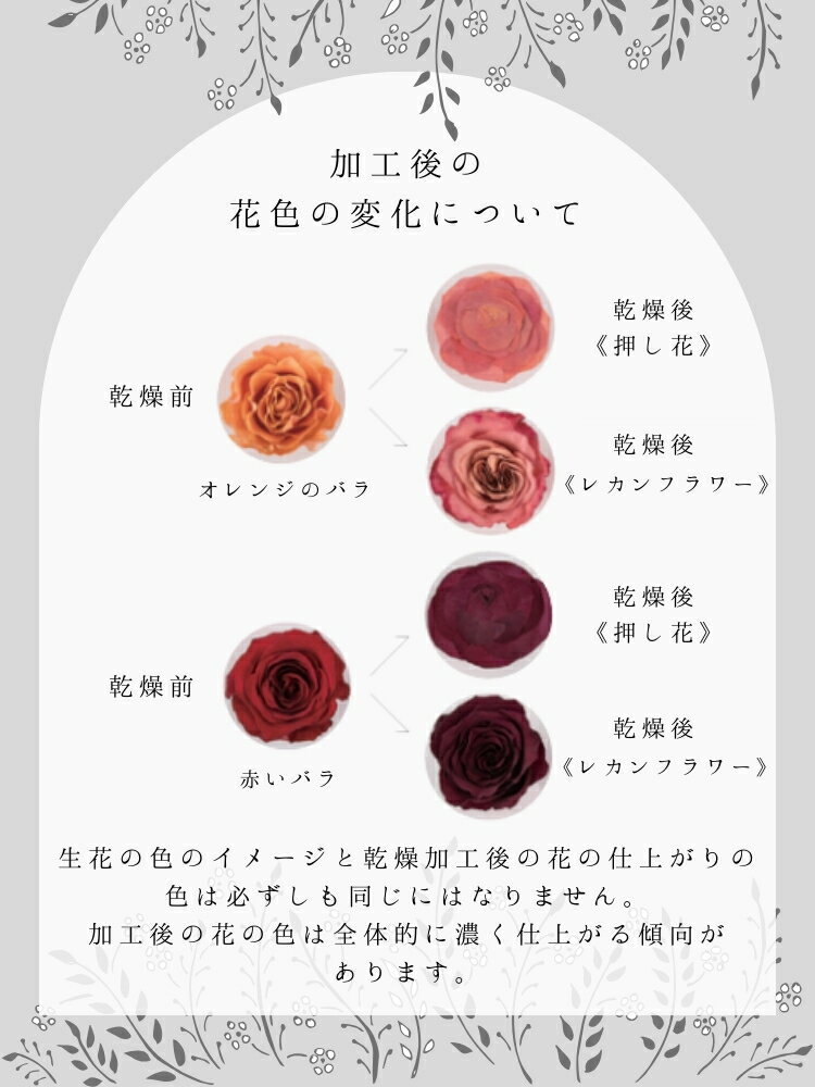 �ե������ڥåȥץ�ߥ����M�������ۡۥ֡����ù�/�֡�����¸/���ե����֡���/�����ǥ��󥰥֡���/�֥饤����֡���/�֡�����Ĥ�/��«��Ĥ�/������/�ץ��ݡ���