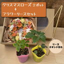 【送料無料・ クリスマスローズ 付き 】フラワー リース Mサイズ+リース スタンド セット ( リース・品種おまかせ ) プレゼント リビング 玄関 リース立...